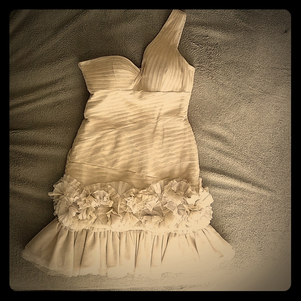 BCBG MaxAzria